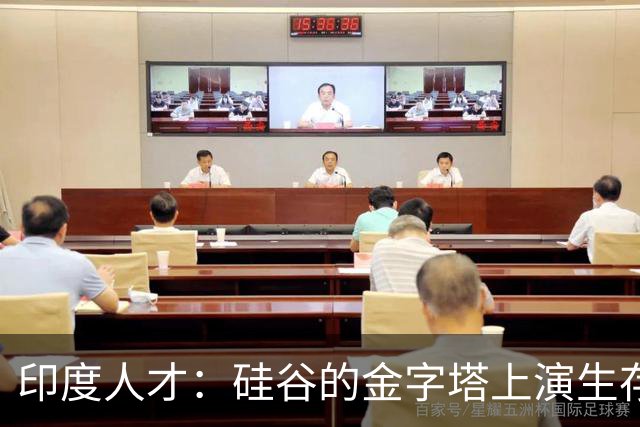 印度人才：硅谷的金字塔上演生存游戏
